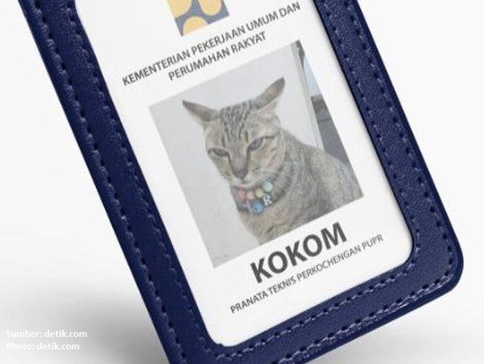 Kucing Pegawai Kementerian PUPR